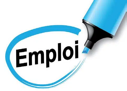 emploi-logo
